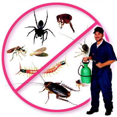 PEST-CONTROL-1