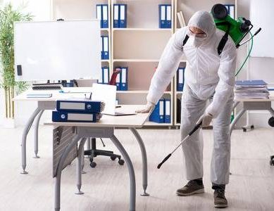 117782450-professional-contractor-doing-pest-control-at-office-1