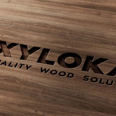 xylokat1-1
