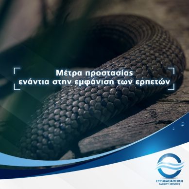 thumbnail_Template_1_NEW_serpents-1