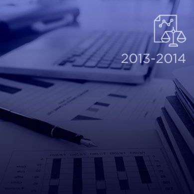 balance-sheet-2013-2014