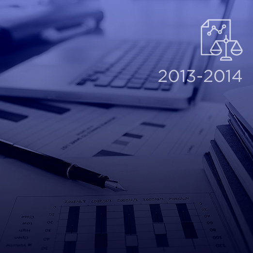 balance-sheet-2013-2014
