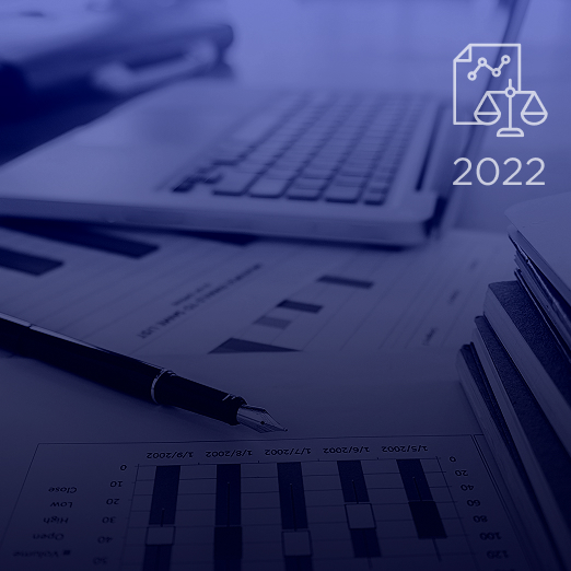balance-sheet-2022
